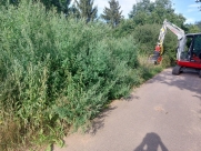 IMG-20220728-WA0002